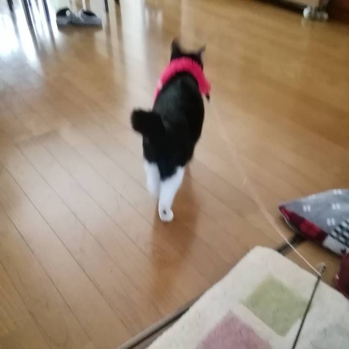 29964bfa 23f6 487b a926 fee20744cc03 1554275027610