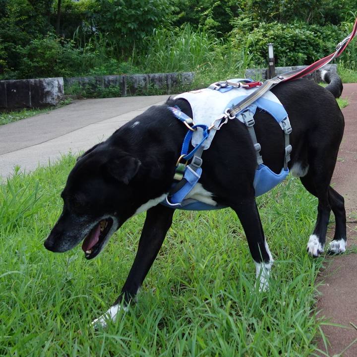 2996535e 5c03 4391 beae 389235745057 1722728351081