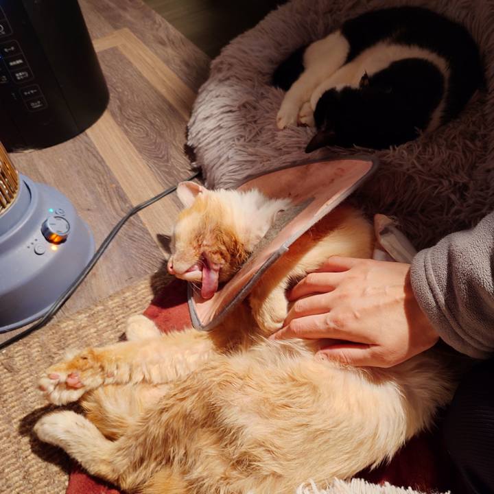 29965c9e 9d91 4df9 afcd 257954c28576 1765882579463