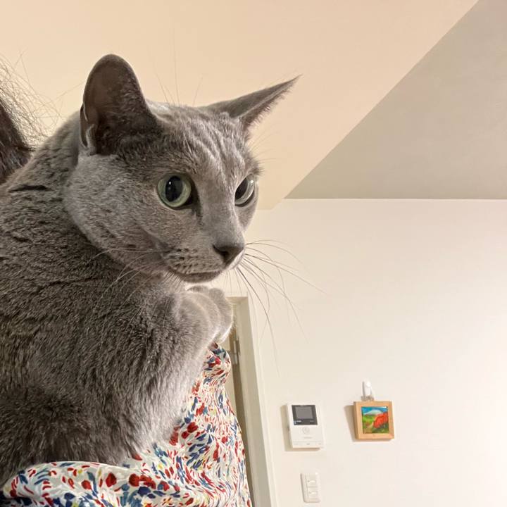 29969a5f 6ae7 461c 8b59 b00a39258b20 1760166409078