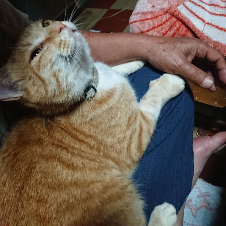 2996a435 ec97 45f1 b5f8 1acebf4a08a2 1593545262471