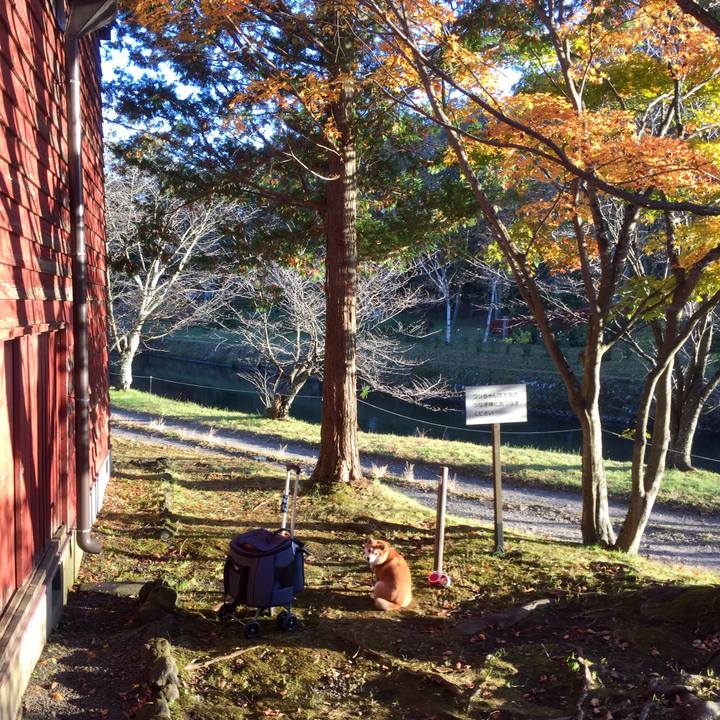 2996b29d 1a9f 44be 8dd6 94babe410d1e 1540940511447