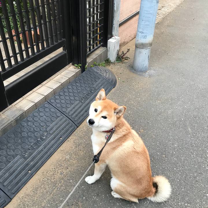 2996c4e0 a45d 42f6 bf93 1542accbf8e2 1523277025223