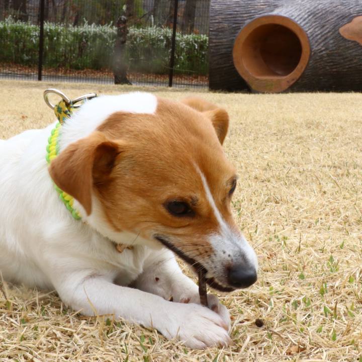 29970b10 3fa6 4d2b bacf 499885d0e932 1553321447312