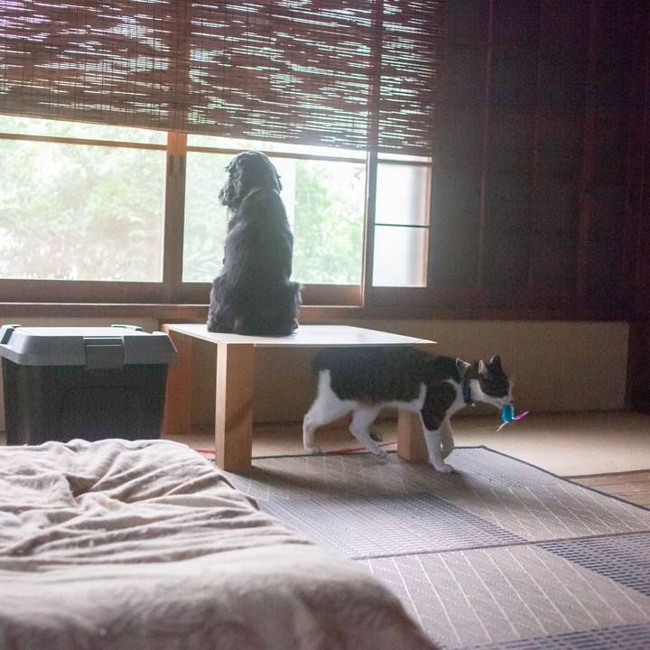 29970e38 69ea 487b 9f6b 8aa7911b92e7 1570161109366