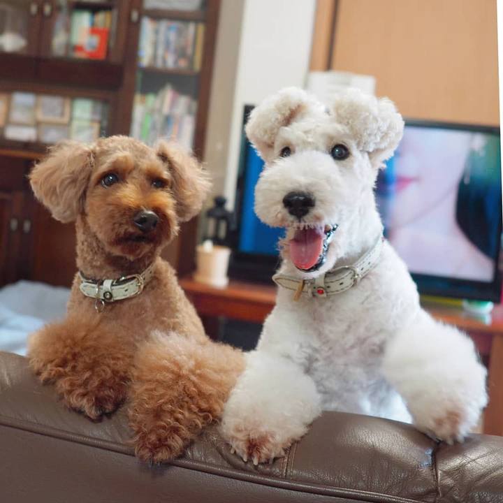 2997243b f3d2 44f6 a5a0 1259700f22d4 1569416109261