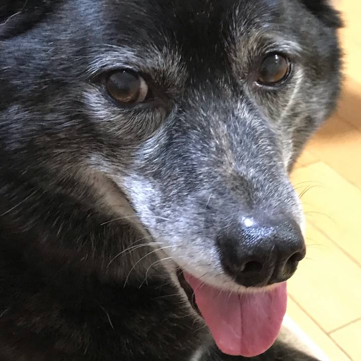 2997332d 0222 4c02 9341 9dd5d1a85ea8 1556870438069