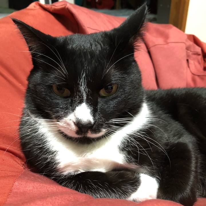 2997487f b731 4b5e ae53 340017c93f43 1634787713823