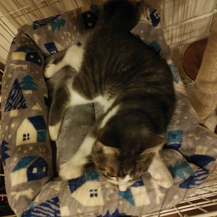 29977c45 76e7 4183 a2fb 7f1a5aad2944 1575935063578