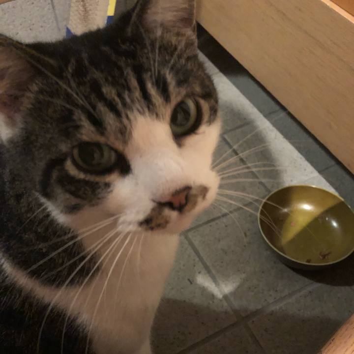 2997a31a b583 46cd 9463 35debc26f55c 1541409912241