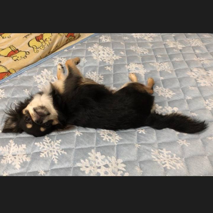 2997c92c 6596 40c6 9e55 4a480c89fcb0 1564699200332