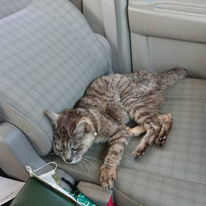 2997d956 8056 4512 a3a4 82e46947db29 1598666836244