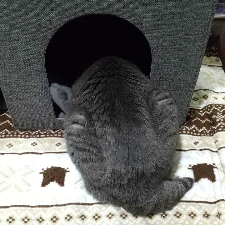 2997de13 fde8 4096 9ac2 daa1ac2e4bbd 1668846493893