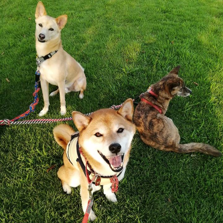 2998473b 4c61 4a5b a130 2f3b24aeb89e 1660904000837