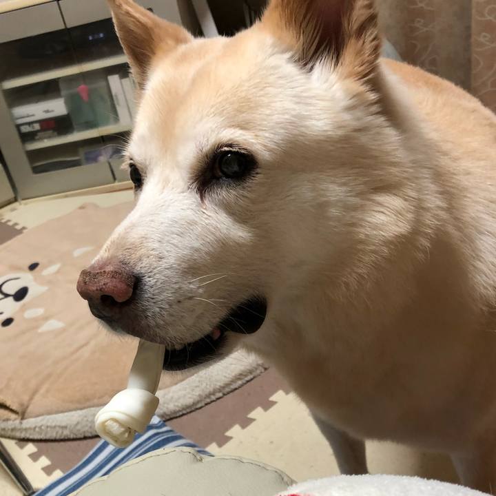 29985f9c a81b 495b 95ac a73e2d70f287 1602669770390