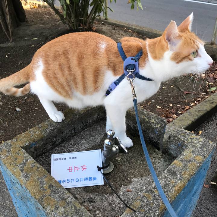 2998650e eea9 4aa3 9eef 490e1cc65617 1512465500734