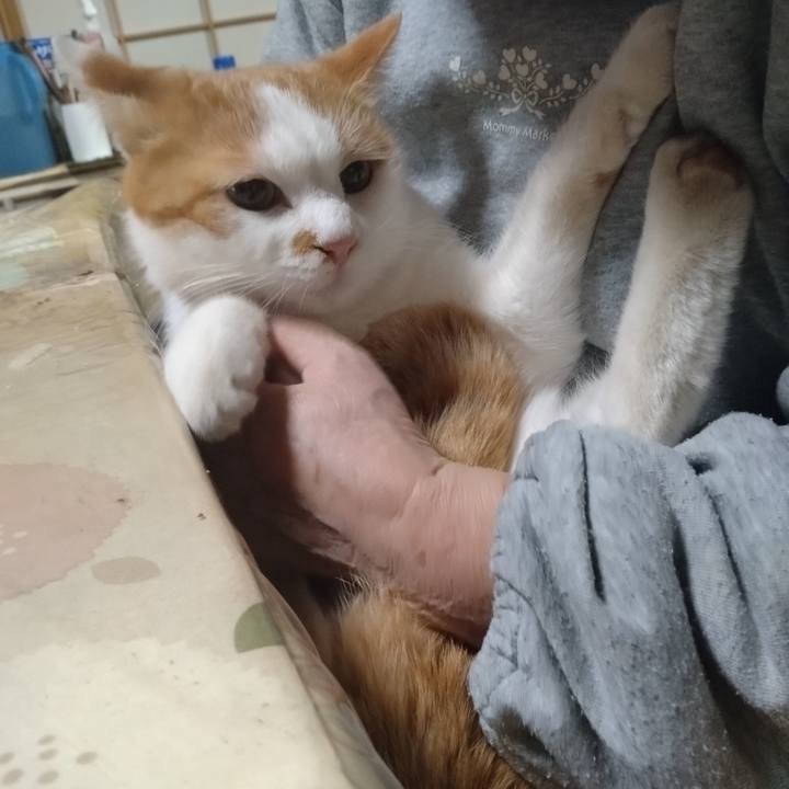 29987533 9e19 4ab0 8778 382a366a7e80 1767787649747