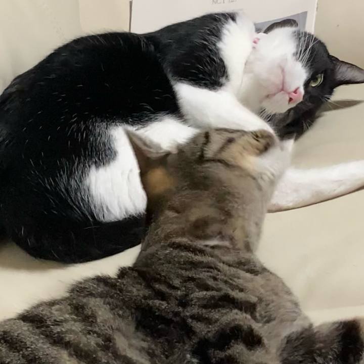 29988feb 81fb 4233 94e0 07532fd36311 1659623577976