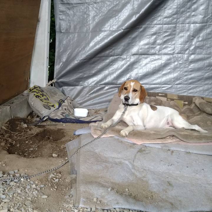 2998c04e d960 414e ab4e 94c0c9400101 1624179235048