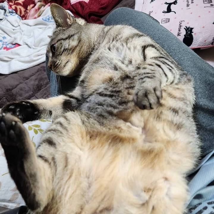 2998d67d cea5 48e4 84ac 9f2249566c9c 1722567682710