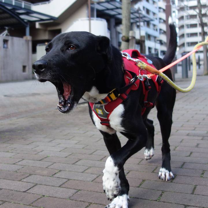 2998ea0b d862 4d59 b0ff 4ebd409e4a91 1584317957920