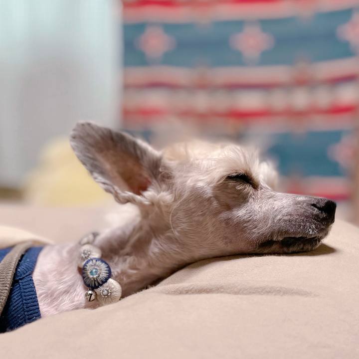 2998fcbb 642c 4967 b1d6 927e04608d82 1761132377013