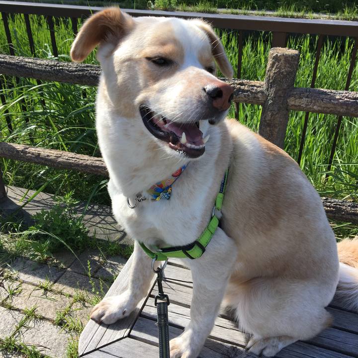 2998fd3c 5faa 4146 80fd 122bb72e5c42 1525562965275