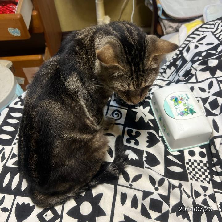 29991ea5 005c 43da b7df 6222ed7b1395 1721685323455