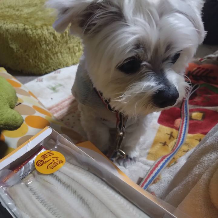 299933a6 8c7d 4d29 9da7 2e615777120a 1771164198482