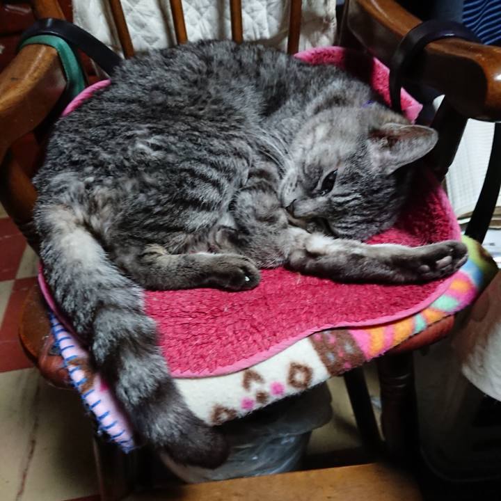 299940bb d695 4203 883f 211f9adf8869 1581410942267