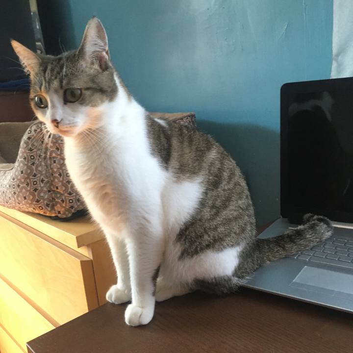 2999575d 9327 4979 81c1 408d1515e5bf 1633650359394