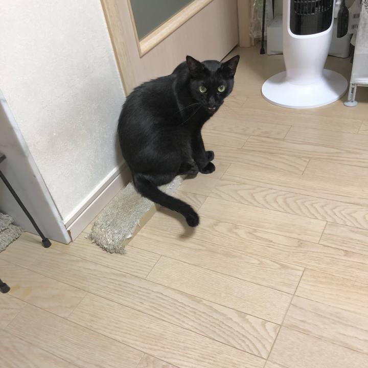 299973a4 f4e1 4052 ba89 3faf76c0db36 1625318450420