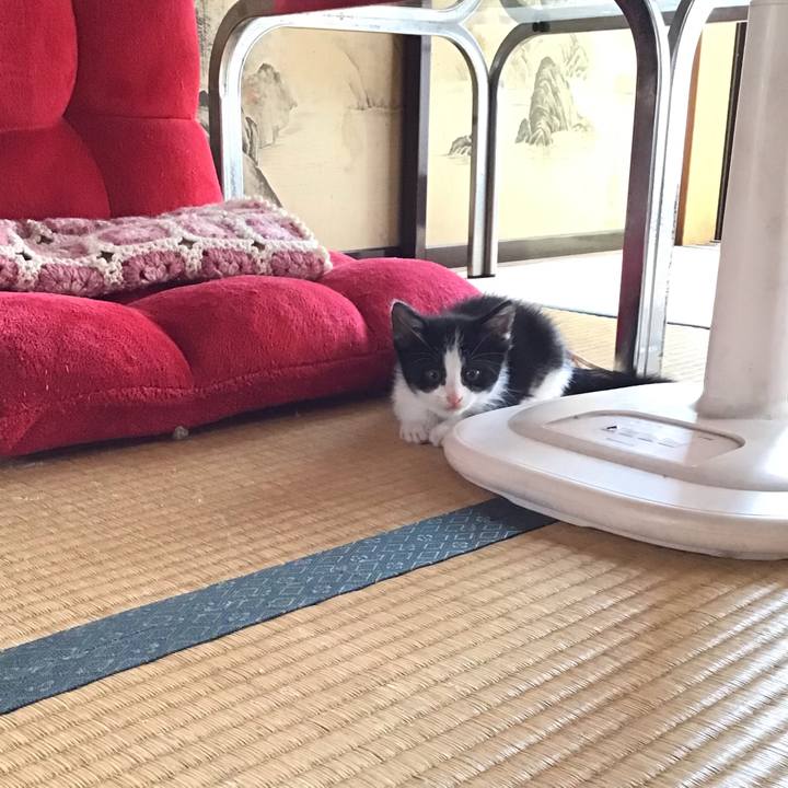 2999ae20 b32d 4178 9874 347c26e1e2e3 1623400282108