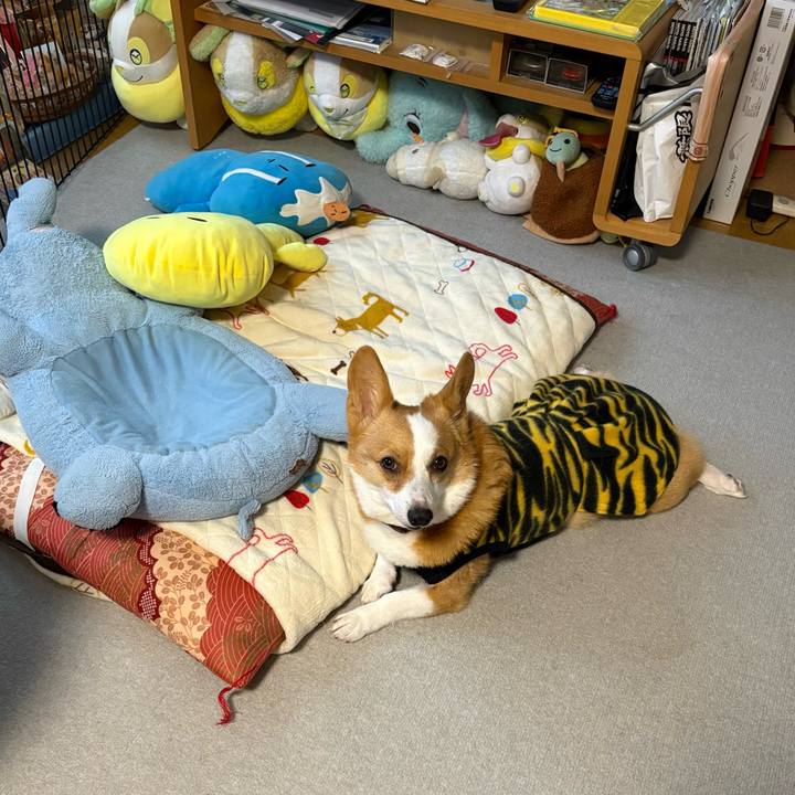 2999b824 2e16 4d0e 9dd3 5b424e7ecdf5 1770423260292