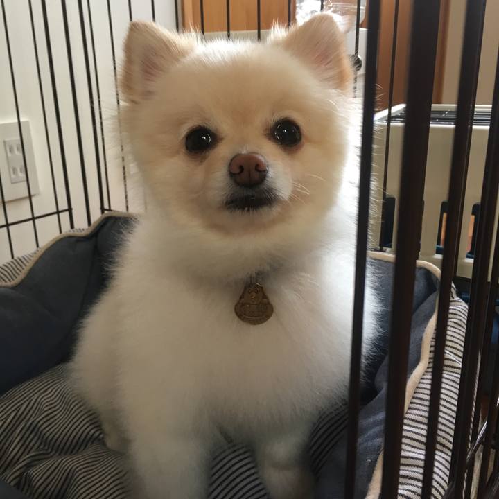 2999bcb8 25cf 453a 886a 22cd9f746735 1560468527146