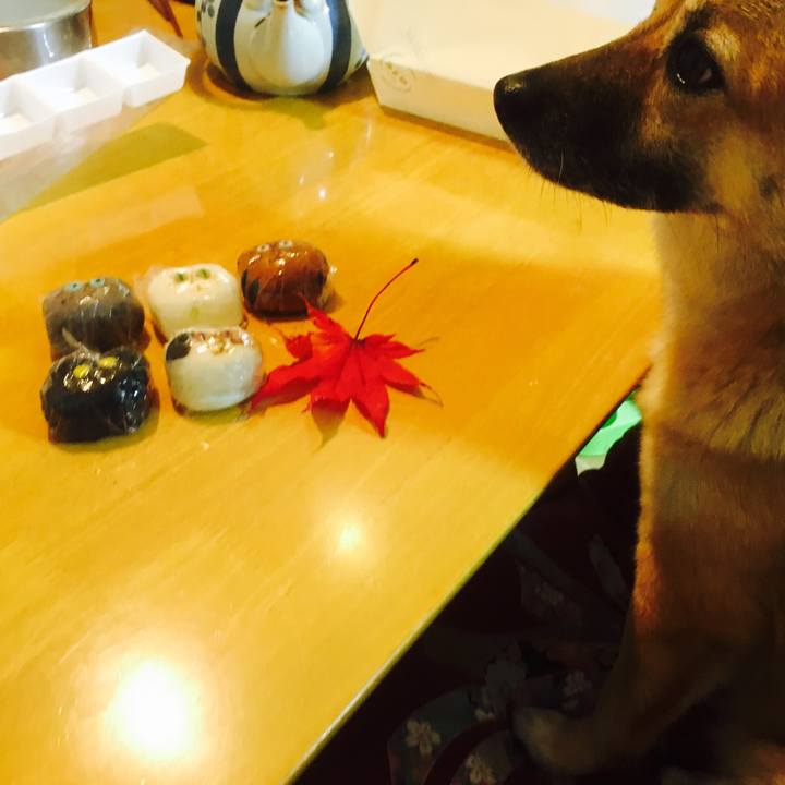 2999d19e 9387 4b06 a215 a76e679b1e4e 1510055117813