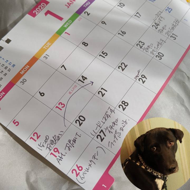 2999dee7 24c8 47c1 8e31 2b60466d0325 1642553203424