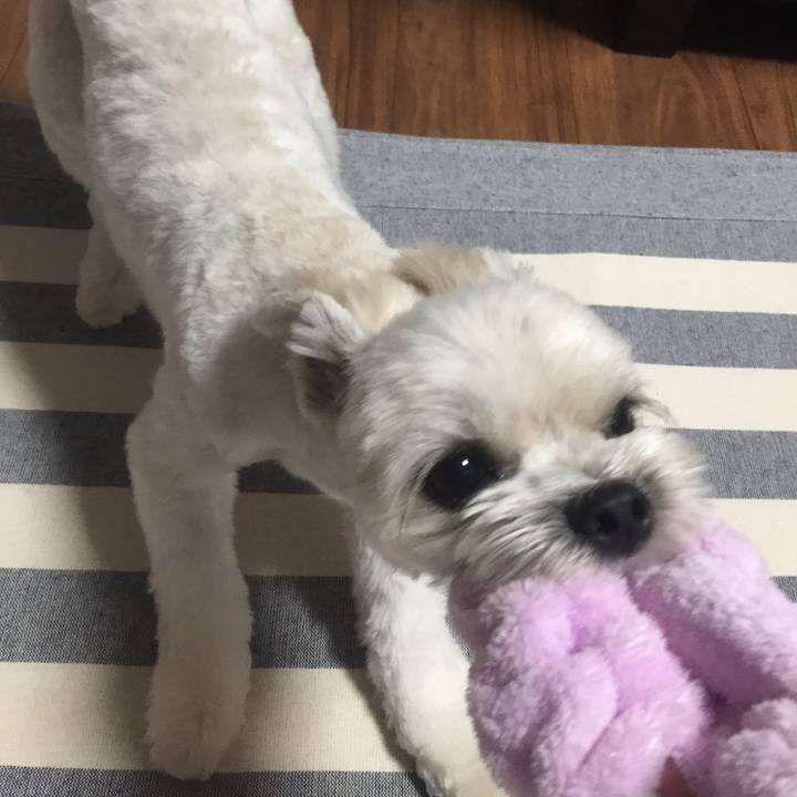 2999f6e5 a314 4ed1 9e97 47879b0f209e 1508851238349