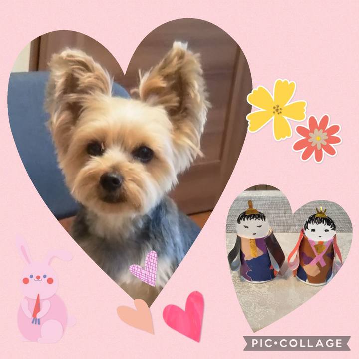 2999fe1d 2719 477e 82db 0a83f9e3adc0 1677905768140