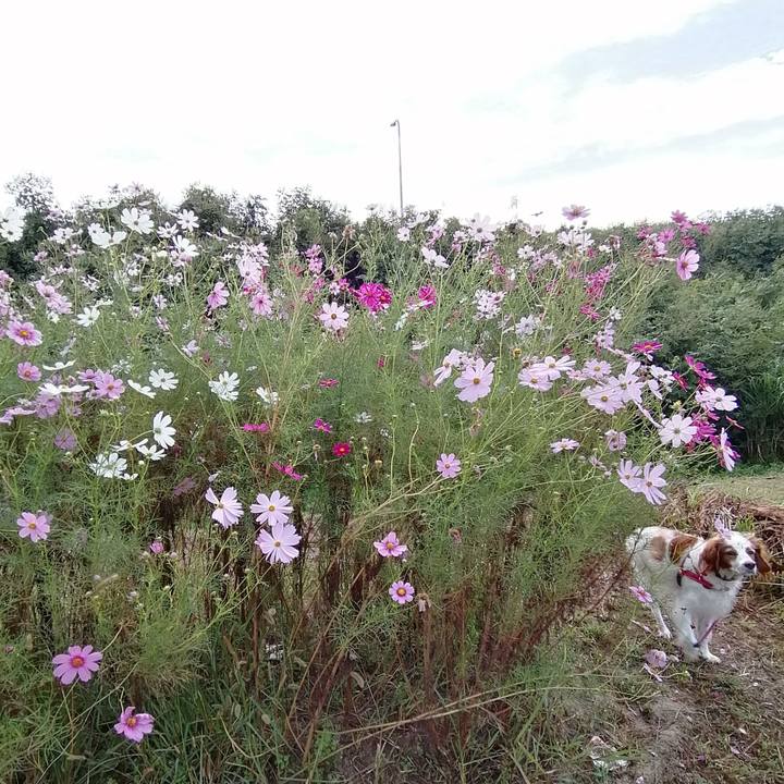 299a1463 c13d 4f01 8b54 8303f1b1c505 1601943137099