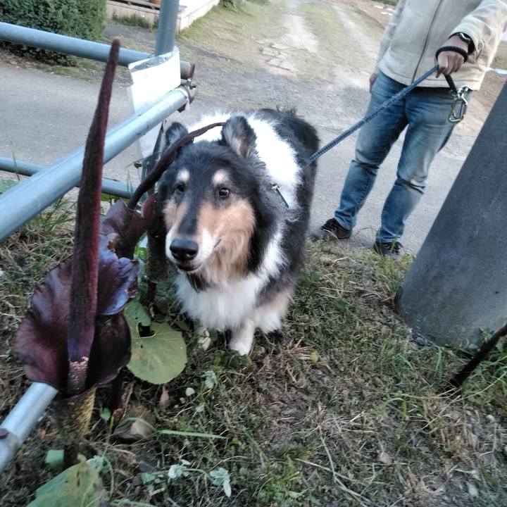 299a3035 c431 42bd 8ecf 8a66c9b501e9 1558274126799