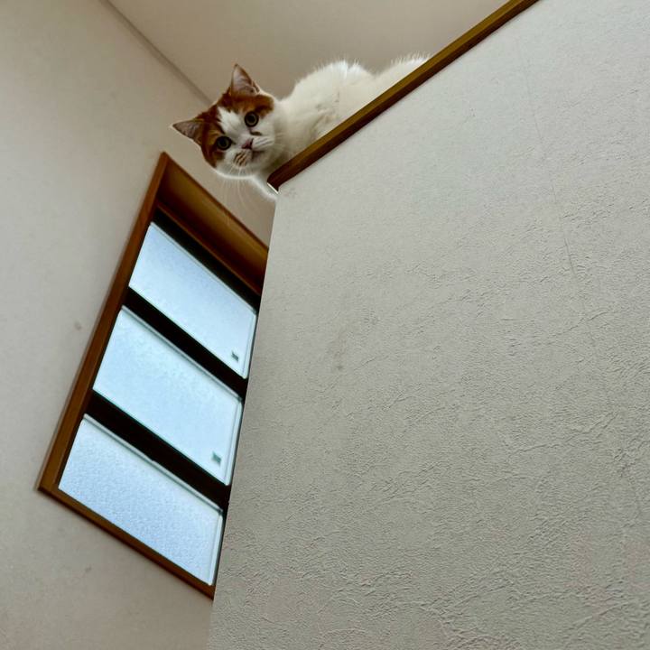 299a5df9 e018 450e 89ed 7f6e02f0eaa5 1772073376516