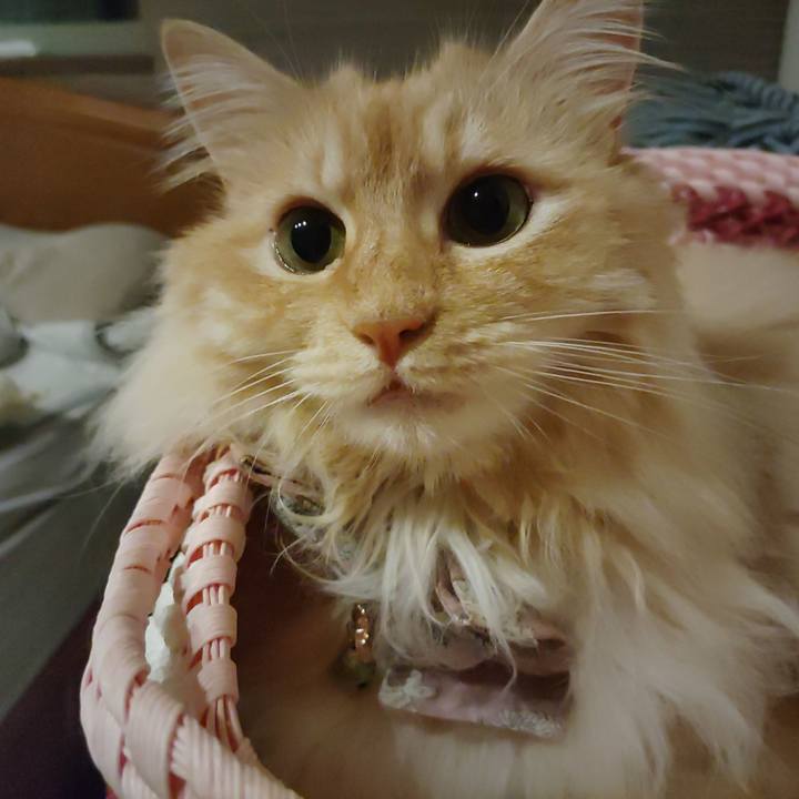 299a8148 da0d 46d6 b401 8b4a2b2b617d 1719323482363