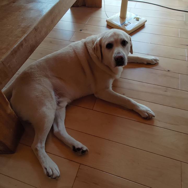 299a8ae6 e2d0 4193 9f91 f84a5e876af4 1721867994574