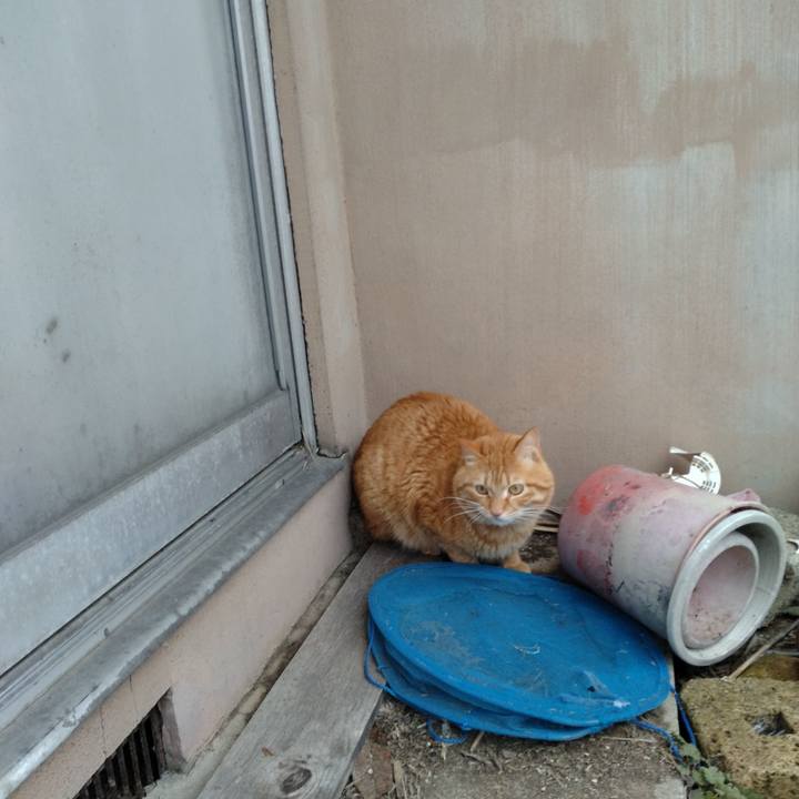 299a93e4 e897 410a a409 6d2abb0b204c 1677108007063