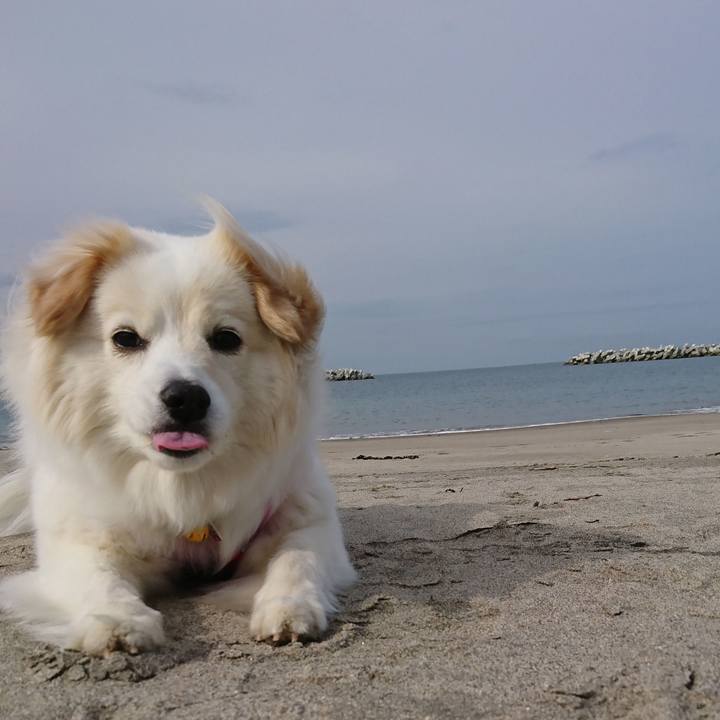 299acd27 61fd 4918 ad16 a07848df3f23 1524041901191