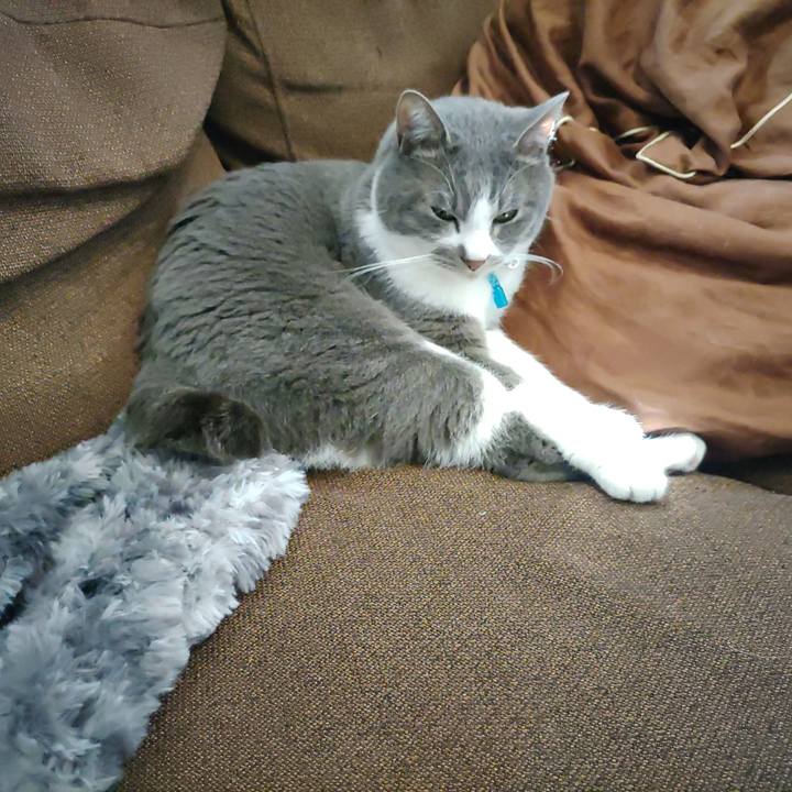 299ad235 cd69 4c75 9979 ef2c3a49abe1 1678172773140