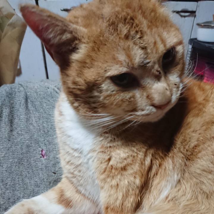 299af299 9bde 4a50 921d 1982bdc4b020 1579825149996