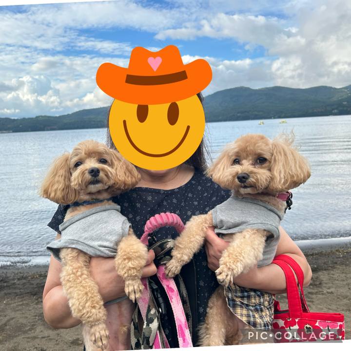 299b557f 19ae 4e49 8795 e92ad2f2d821 1694344590256