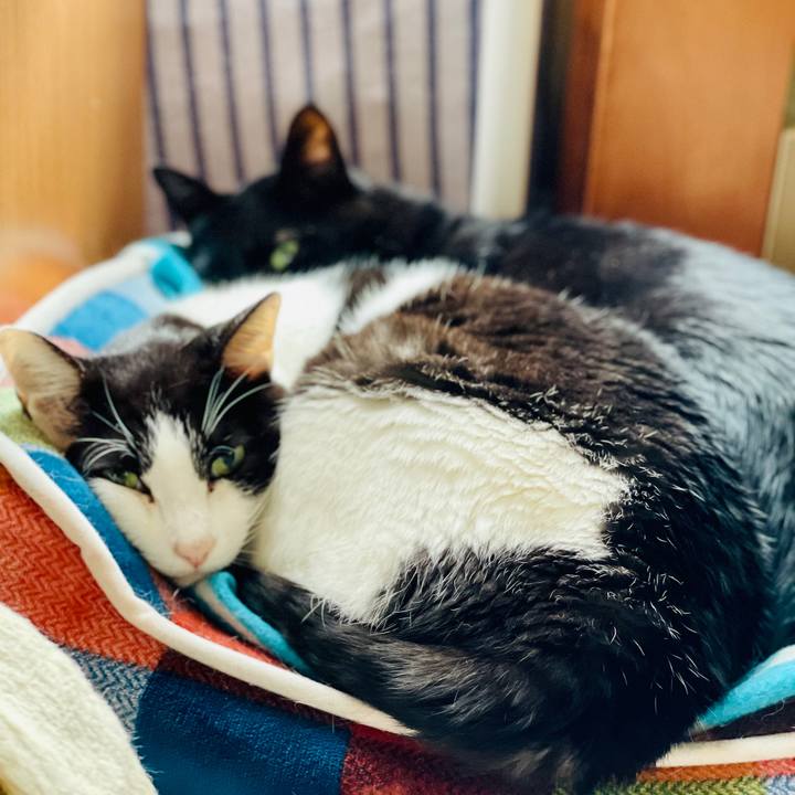 299b82f5 c46b 4c1d 8d0e c0b049cac70d 1609725196524